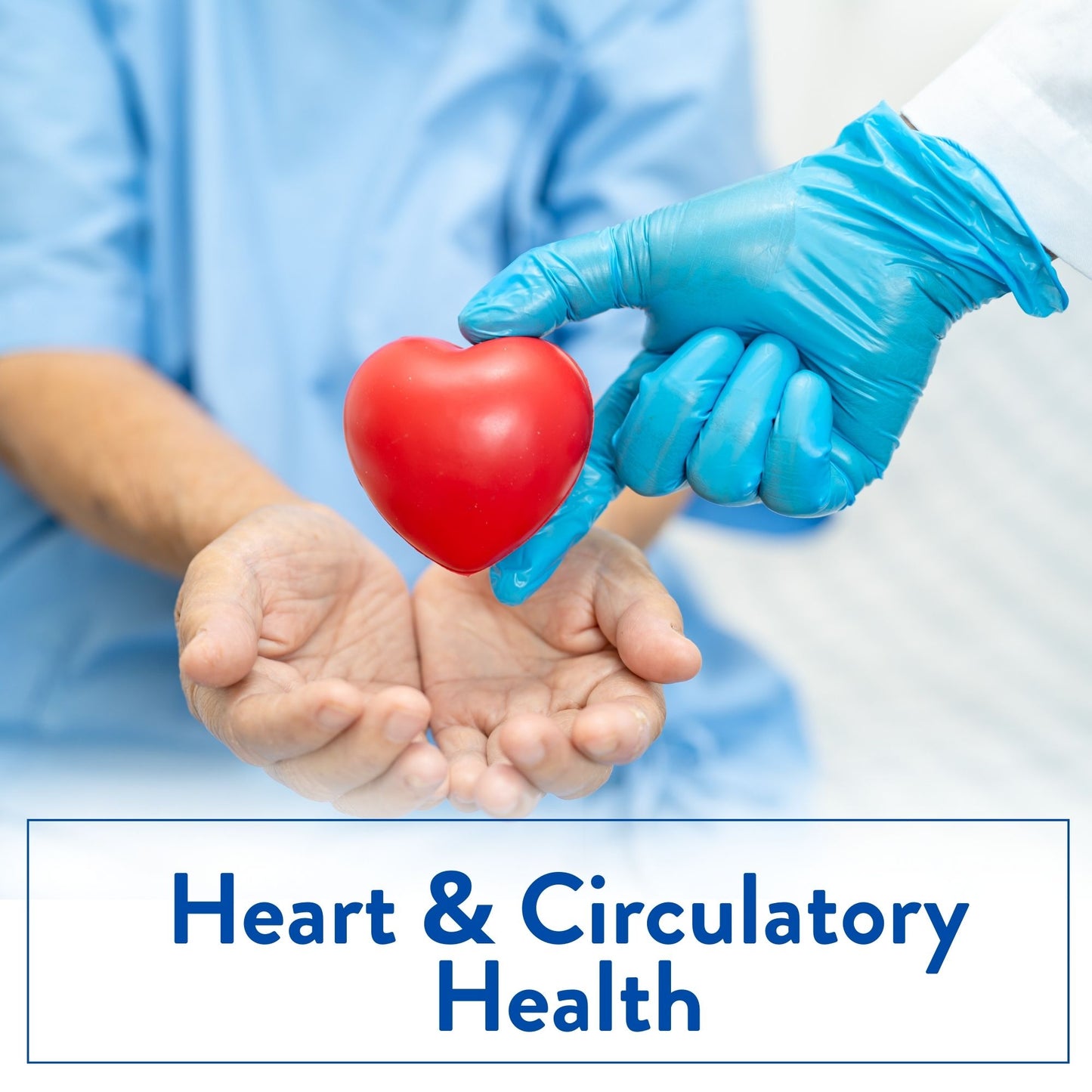 Multivitamin Antioxidents Soft Gel 30 Capsules Bottle Pack of 1